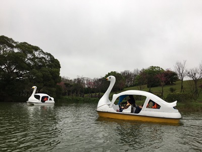 20190210_埔心牧場