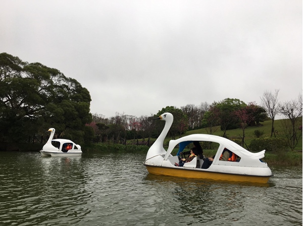 20190210_埔心牧場
